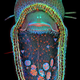 Illustration for article titled Award-winning images of some of the worlds smallest life forms